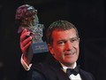 Antonio Banderas Penuhi Takdir Jadi Picasso