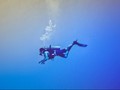 Menyelam Bersama Sampah Plastik di Nusa Penida