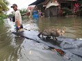 Awan Tebal di Utara Jakarta, Hujan akan Turun Rata di Ibukota