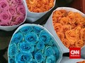 'Merangkai Cinta' di Pasar Bunga Rawa Belong
