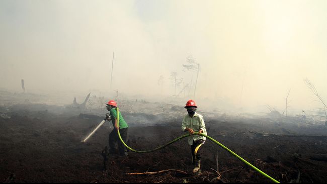 KLHK Menang Gugatan Karhutla, 3 Perusahaan Didenda Rp1,3 T