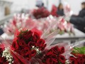 Cara Menjaga Bunga Tetap Segar Usai Valentine