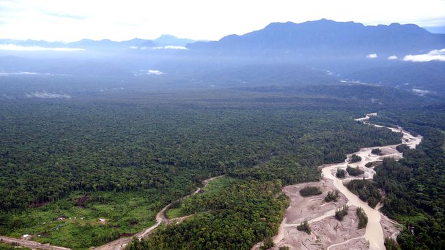 Jatam: APBN Kolaps Karena Freeport itu Logika Inlander