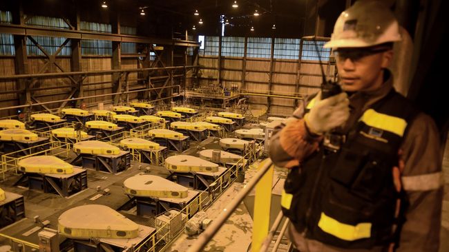 Bank BUMN Batal Danai Pengambialihan Saham Freeport