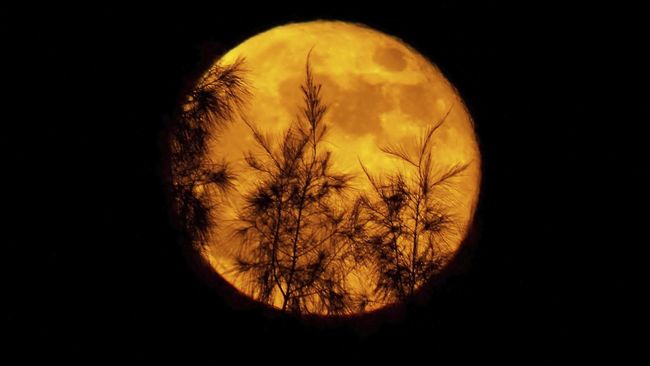 Indonesia Tak Kebagian Fenomena Langka Gerhana Supermoon