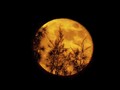 Imlek Besok Ditandai Bulan Super di Langit