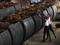 Aprobi Respons Subsidi Rp7,5 Triliun Lima Konglomerat Sawit