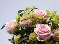 <i>Flower Powers</i>: Cinta, Kepuasan Hidup, dan Kesehatan