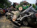Sejumlah Pohon Tumbang Diterpa Hujan Angin Jakarta