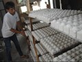 Jokowi: Garam Industri Impor Tak Boleh Bocor ke Pasar