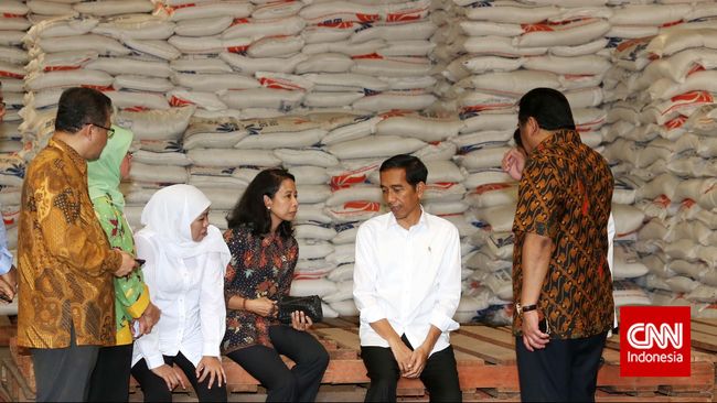 Demi Stok Ramadan, Pemerintah Akui Siap Impor Beras
