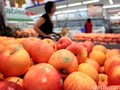 Rezim Jokowi Batasi Impor, AS dan Selandia Baru Protes ke WTO