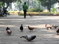 Menjaga Renjana Musisi di Taman Kota