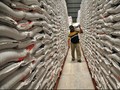 Stok Aman Sampai Desember, Jokowi Tegaskan Tak Impor Beras