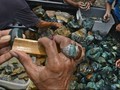 30 Ribu Warga Aceh Bergantung Hidup Pada Batu Akik