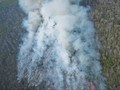 Pascablusukan Jokowi, Satgas Kebakaran Hutan Dibentuk