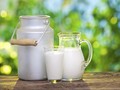 Meluruskan Salah Kaprah Soal Susu