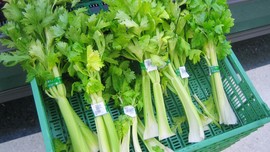 5 Manfaat Jus Seledri untuk Tangkal Berbagai Penyakit