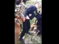 Tentara Israel Gunakan Anjing Takuti Remaja Palestina