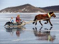 Mongolia Gelar Festival Musim Dingin di Februari