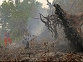 17 Ton Garam Disiapkan untuk Hujan Buatan Atasi Karhutla Riau