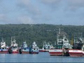 Sebanyak 3500 Kapal Ikan Mangkrak, Instruksi Jokowi Tak Jalan