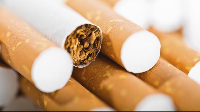 Singapura Sita 3 Ribu Karton Rokok Selundupan dari Malaysia