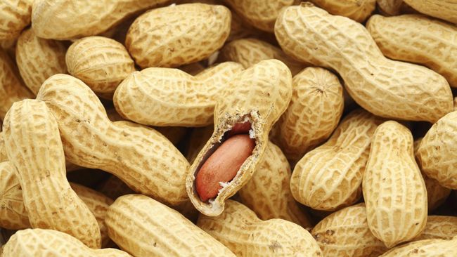 Akrabkan Anak dengan Susu dan Kacang untuk Cegah Alergi