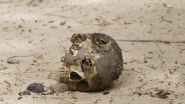 Boko Haram Eksekusi 12 Warga Nigeria