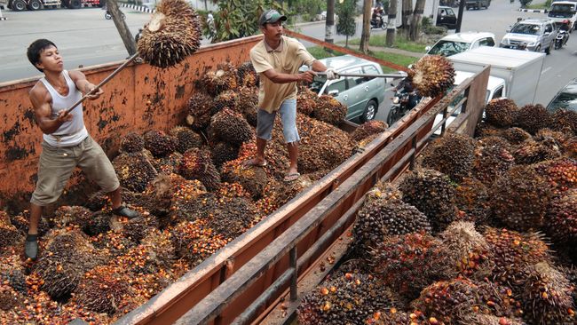 Pengamat: Indonesia Perlu Ikut Langkah Trump Keluar dari TPP