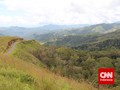 Jalan Terjal Menuju Perjamuan Kental di Golo Wangkung