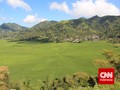 Melacak Rahasia Circle Crop Jaring Laba-laba Raksasa Flores