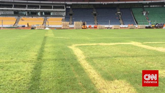 Stadion GBK Tetap Setia dengan Rumput Manila