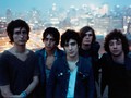 The Strokes Pamer Lagu Baru di Kampanye Bernie Sanders
