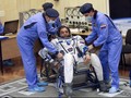 Teknik Tidur Panjang Astronaut Berasal dari Hewan