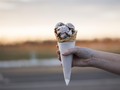 Resep agar Es Krim Tak Mudah Cair Bakal Segera Hadir