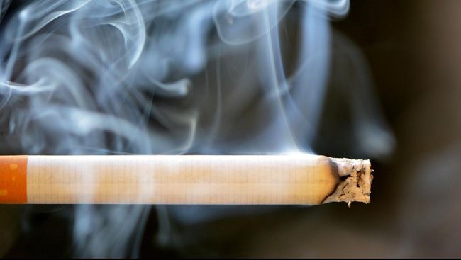 5 cara bersihkan paru dari racun rokok