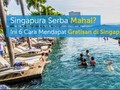 Enam Aktivitas Seru dan Gratis di Singapura