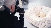 Dalam buku The Private Life of a High-Flying Fashion Cat, terlihat Choupette sedang asyik bermain iPad dan menghadiri jamuan makan bersama Lagerfeld. (Dok. Karl Lagerfeld)