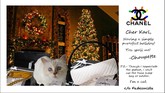 Ke mana pun Lagerfeld pergi, Choupette selalu membuntuti. Begitu juga saat Lagerferld menghadiri acara peragaan busana Chanel di New York. Choupette ikut menginap di hotel mewah Mercer.