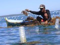 Masyarakat NTT Berharap Jokowi Tak Lupakan Pencemaran Montara