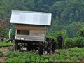 Kisah Gunung Biru, Benteng Terakhir Teroris Santoso