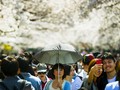 5 Rahasia Taman Ueno