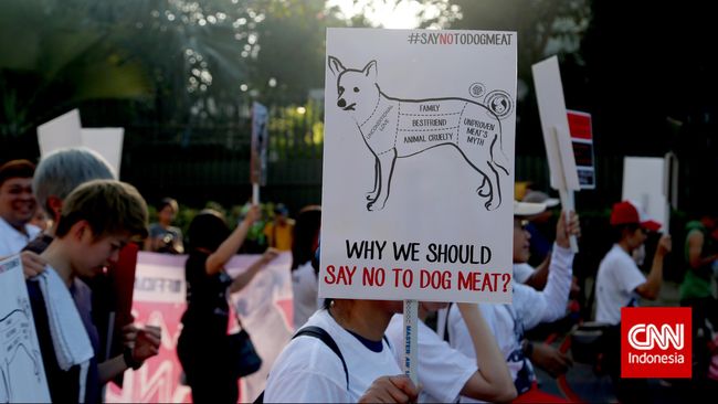 Konsumsi Daging Anjing Tak Sekadar Bahaya untuk Kesehatan