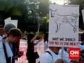 Konsumsi Daging Anjing Tak Sekadar Bahaya untuk Kesehatan