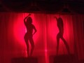 Tujuh Bintang Porno dengan Prestasi Mengejutkan