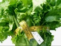Menu Wajib Santap dan Hindari Saat Diet HMR