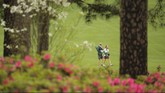 Sempat berkembang isu bahwa pihak penyelenggara meletakkan kantung es di sekitar bunga untuk mencegah azalea mekar sebelum turnamen dimulai. Namun isu tersebut terbantahkan ketika pada 2012 bunga azalea mekar satu pekan sebelum penyelenggaraan US Masters. (Reuters/Bryan Snyder)