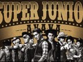 Ribuan Penggemar Mulai Padati Area Konser Super Junior