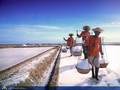 Jokowi Sebut Impor Garam Industri Realistis